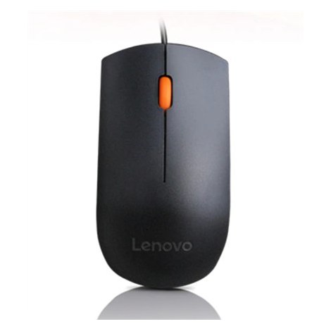 Lenovo | Wired USB Mouse | 300 | Optical Mouse | USB | Black | 1 year(s)